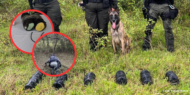 Policía de Neiva destruye 12 artefactos explosivos destinados a intimidar a comerciantes víctimas de extorsión