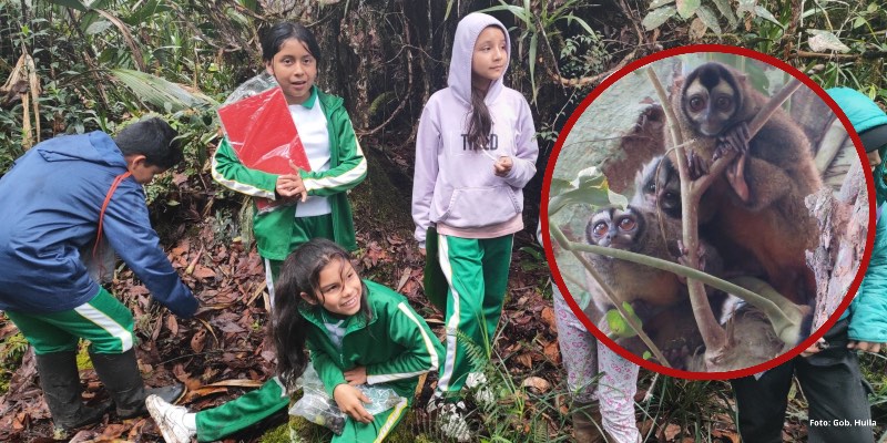 Proyecto “EncontreMONOS” llega a Olimpiadas Steam + Colombia 2026