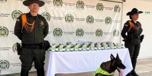 Canino Odhil y Policía de Neiva incautan 50 frascos de ketamina en bodegas de mensajería