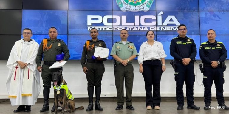 Policía de Neiva destaca a canino antinarcóticos Odhil: seis capturas y más de 159 kilos de droga incautados en 2026