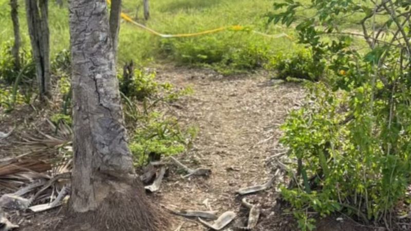 Cuatro jóvenes asesinados en masacre en Cartagena